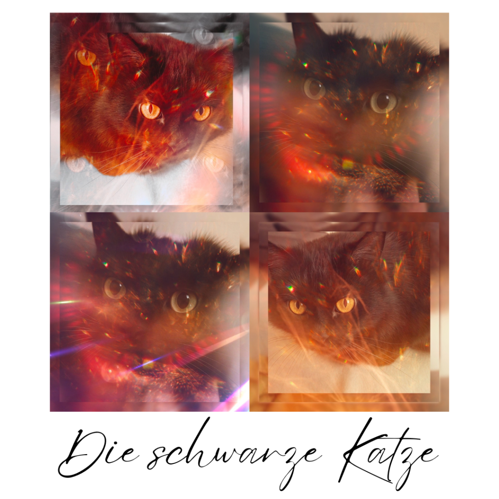 Die schwarze Katze